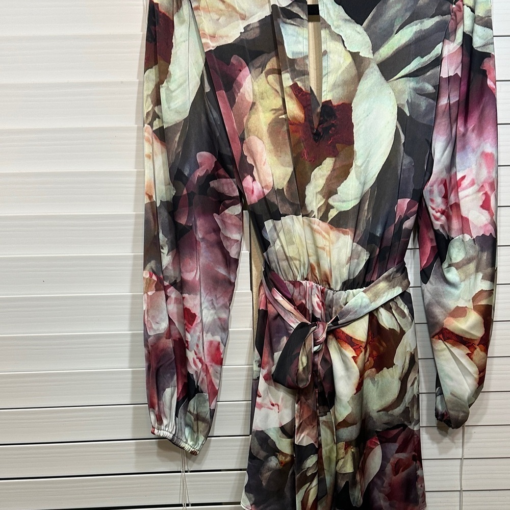 Express Multicolor Floral Long Sleeve Dress - Picture 5 of 10